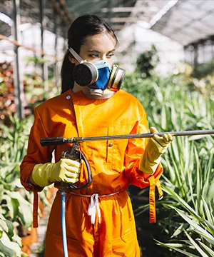 مكافحة الحشرات