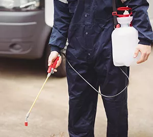 مكافحة الحشرات